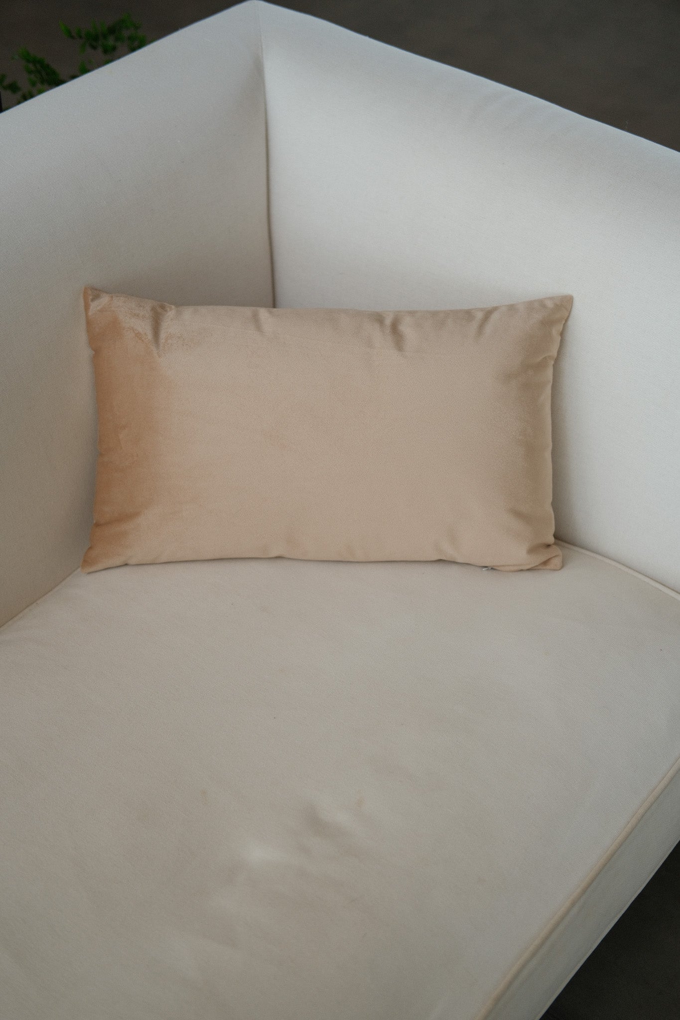 Almohadón de terciopelo rectangular Alma (incluye relleno)